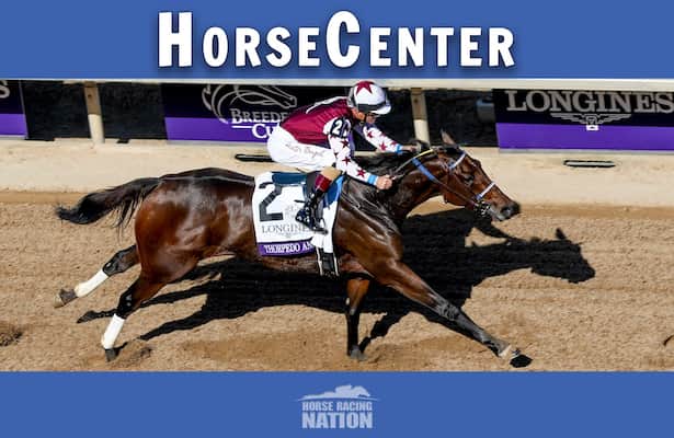 HorseCenter: The best of horse racing in 2024