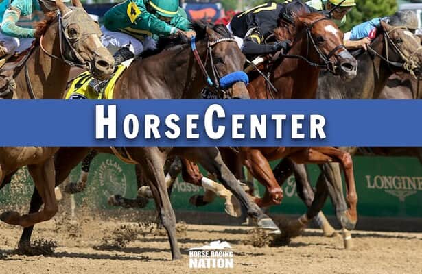 HorseCenter: Remembering Flightline and 2022 Breeders' Cup