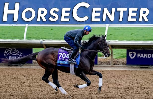 HorseCenter: Kentucky Derby Future Wager, Risen Star