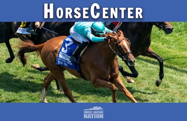 HorseCenter: Saratoga opening weekend top picks