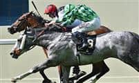 Free Eagle (bay) noses out The Grey Gatsby (grey) on the wire of the Prince of Wales Stakes (G1) on June 17th, 2015