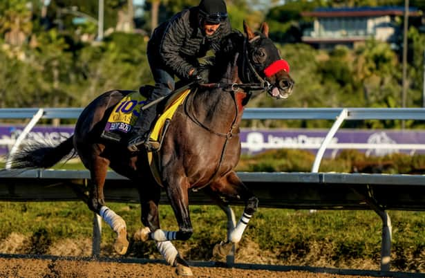 Can a 3-year-old become Breeders' Cup Classic favorite? - Horse Racing  Nation