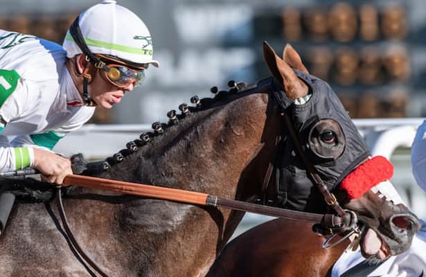 Horses to Watch: 2 juveniles join the list after Churchill wins