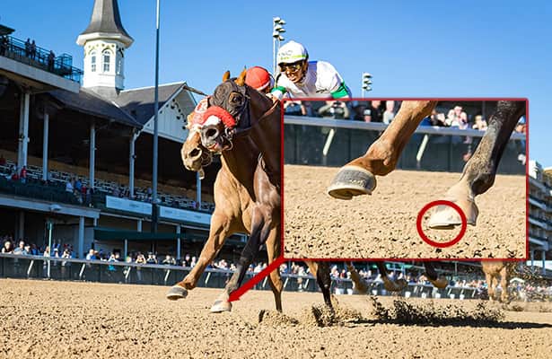 Horse Racing Jockey Action editorial photo. Image of galloping - 42853481