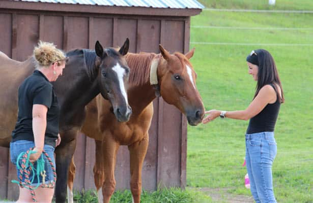 In Saratoga, therapeutic power of horses extends to marriage