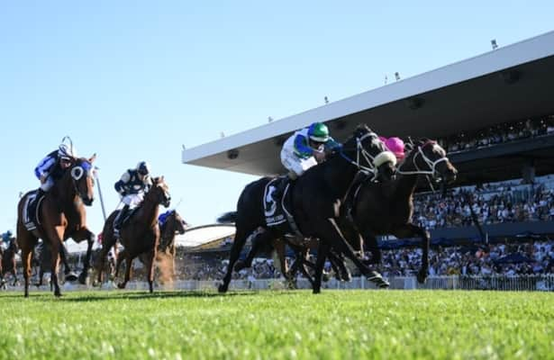 Wrona Golden purses and Group 1 glory in Australia