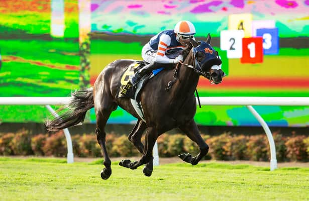 Del Mar 2024: Iscreamuscream stays perfect in San Clemente