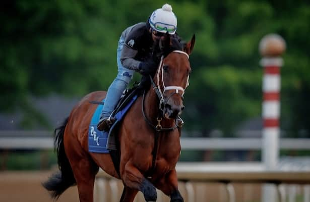 Saratoga: Idiomatic faces 4 in bid for Personal Ensign repeat