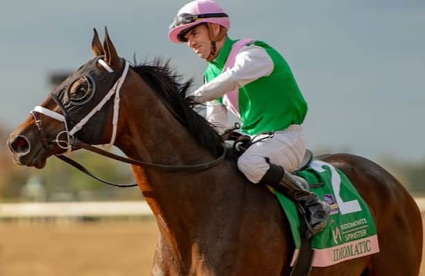 Idiomatic climbs in NTRA’s latest top Thoroughbred poll