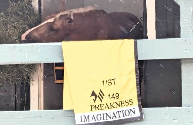 Preakness 2024: Imagination has not caught the Muth bug