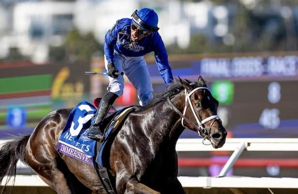 Horses to Watch: 26 to follow from Breeders’ Cup and beyond