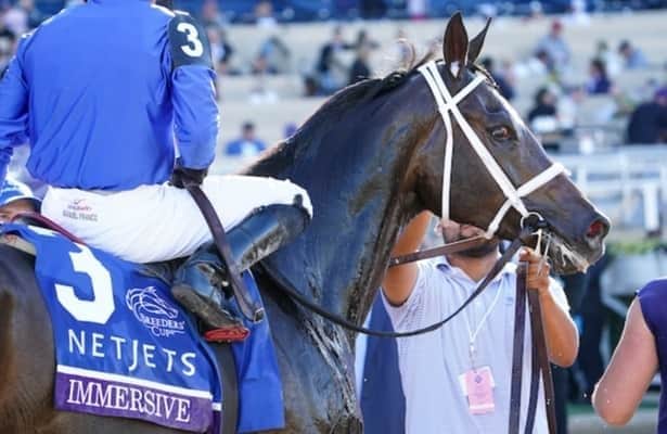 Churchill Downs: Champion filly Immersive is entered for return