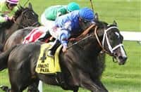 September 28, 2014: Imperia with Javier Castellano win the Grade III Pilgrim Stakes for 2-year olds, going 1 1/16 mile on the turf, at Belmont Park. Trainer: Kiaran McLaughlin. Owner: Godolphin . Sue Kawczynski/ESW/CSM