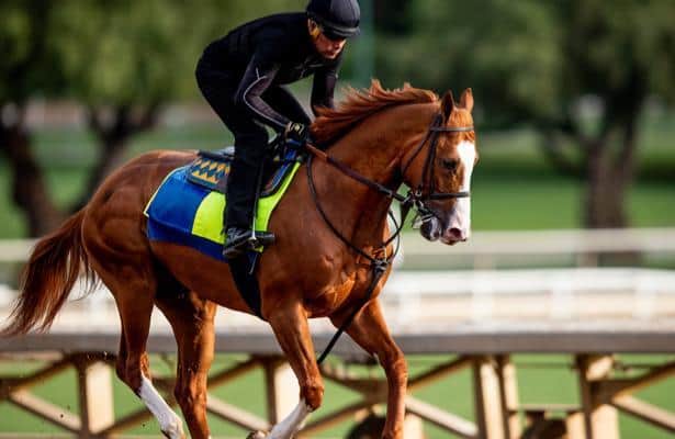 Preakness Stakes 2019: Entries, odds and post positions