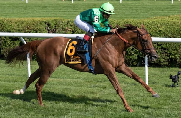 Jenny Wiley fair odds: Pace makes race for In Italian