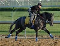 Galloping at Churchill Downs the day before winning the Kentucky Derby.