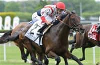 Innovation Economy wins 2015 Belmont Gold Cup. 