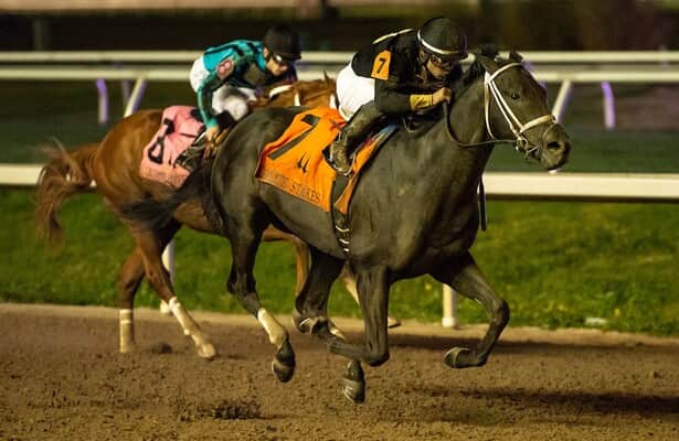 Head to Head: Handicapping the 2023 Louisiana Derby