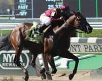 Integrity racing at Belmont Park