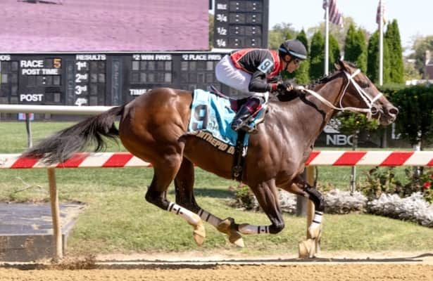 Gulfstream: Intrepid Daydream leads 3 for Joseph in Royal Delta