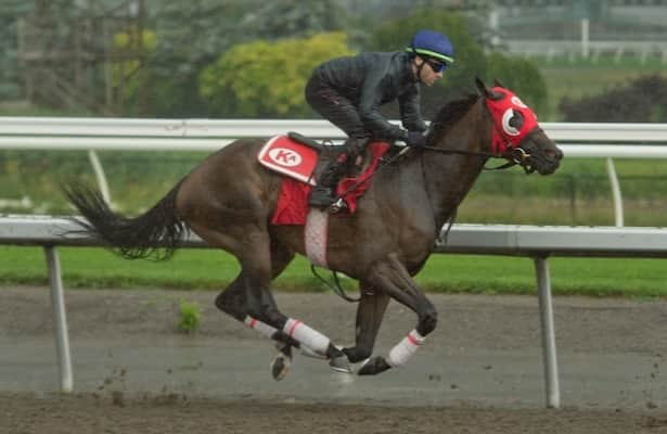 Woodbine Oaks: Kevin Attard has 5 in oversubscribed field