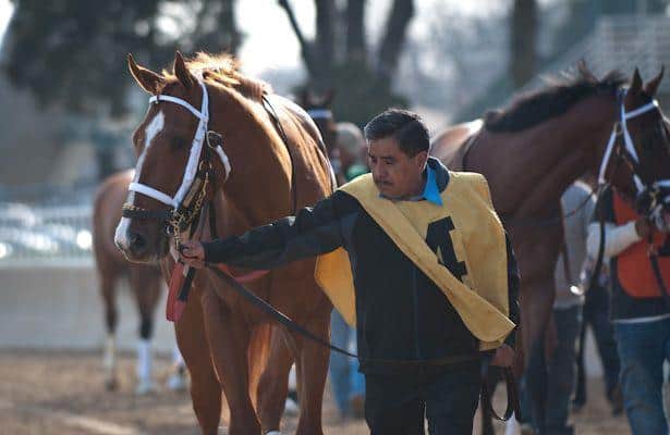 Irish You Well Haskell-Bound With Long Branch Win