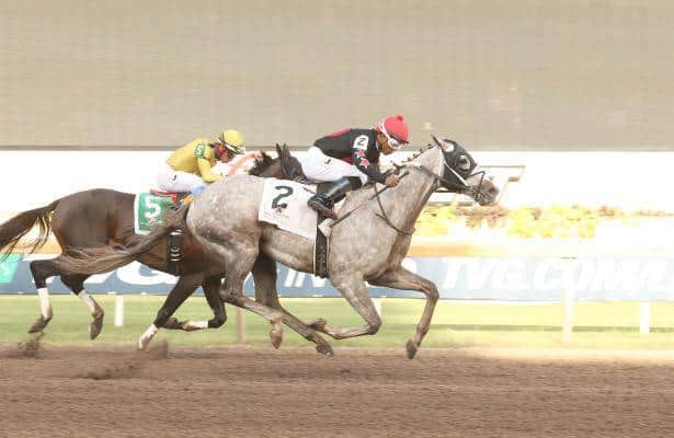 Iron Fist rolls home in Governor's Cup