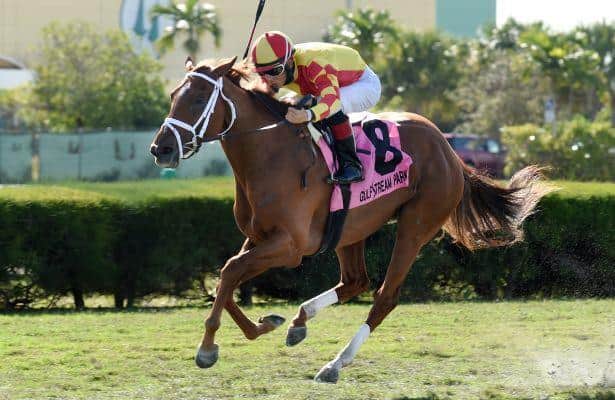 Isabella Sings Leads the Way in My Charmer Handicap