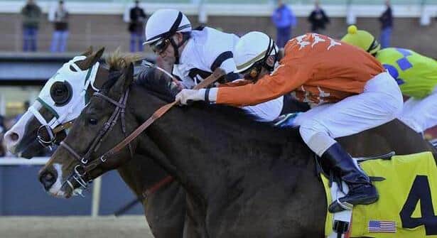 Kentucky Derby Pedigree Profile - Will Take Charge