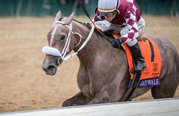 Jaywalk gets 'a little R and R' before path to Kentucky Oaks