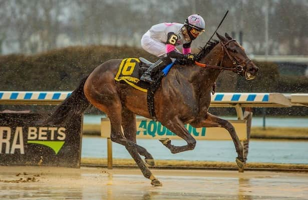 Aqueduct: Off layoff, Jody’s Pride tries turf in Pebbles