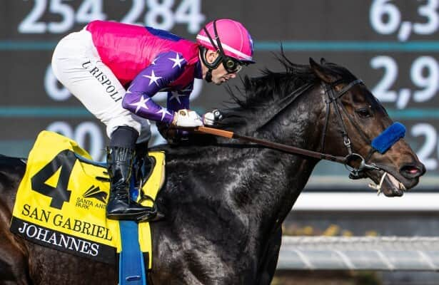 Bone bruise sidelines Pegasus World Cup Turf invitee Johannes