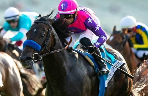 Sunday works: 37 graded-stakes winners are on the tab