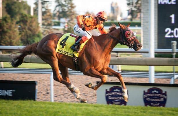 Johnny Bear repeats in Northern Dancer Turf Stakes at Woodbine