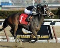 Joint Return winning the 2014 Busher at Aqueduct on February 1. 