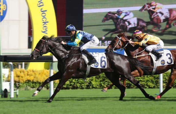 Hong Kong AI play: Speed can hold at a price at Sha Tin