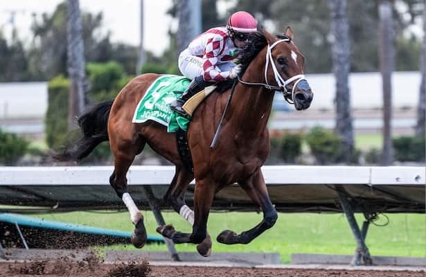 Derby works: Journalism has 1st drill since Los Al Futurity win