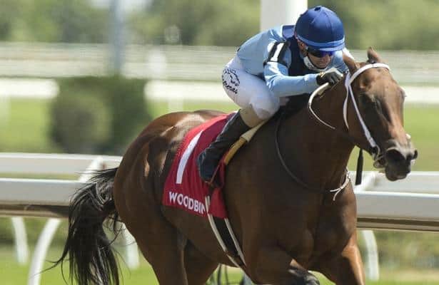 Joy Roket Joy' Rocket, Forester’s Turn prevail in Woodbine stakes action