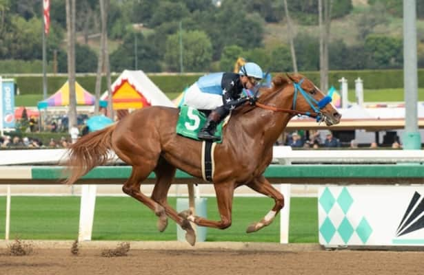 Horses to Watch: 3 race in holiday-weekend graded stakes