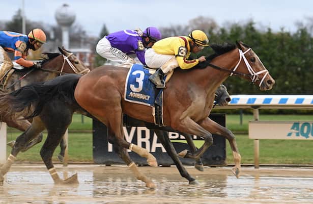 Julia Shining splashes to narrow victory in Aqueduct's Demoiselle 