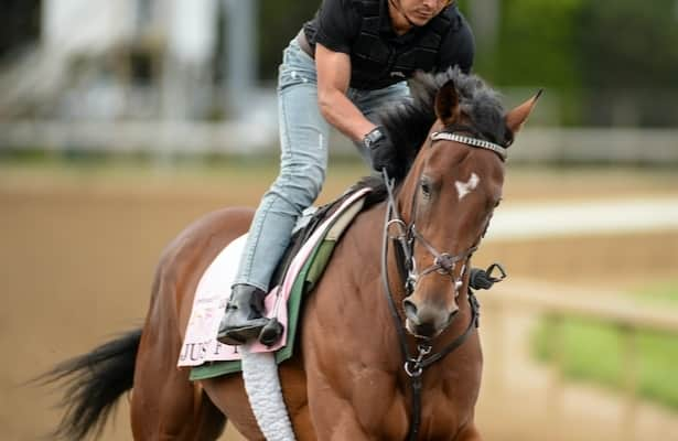 Wednesday works: Just F Y I is back on the tab for Mott