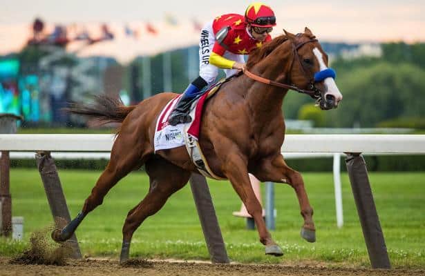 2018 favorites: The most popular horses, races and tracks