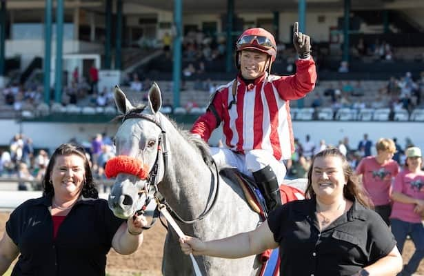 Report: Jockey Justin Stein retires after injury at Woodbine