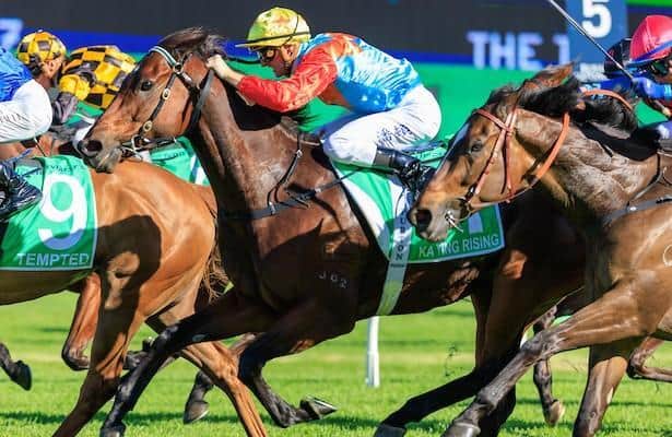 Ka Ying Rising Returns to Hong Kong After The Everest Defeat