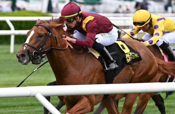 Blossoming on turf for Brown, Kalik wires foes in Pennine Ridge 