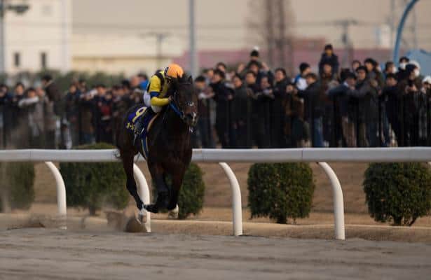 Derby points on the line in Japan’s Zen-Nippon Nisai Yushun