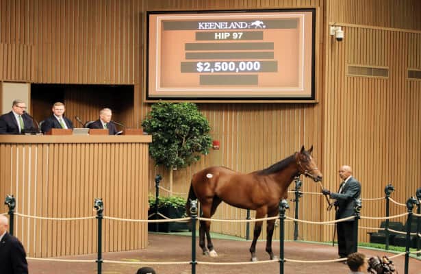 $2.5 million Quality Road colt tops Keeneland sale day 1
