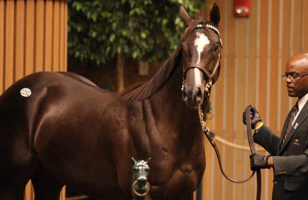 Tv Live Stream Info For 2018 Keeneland September Yearling Sale