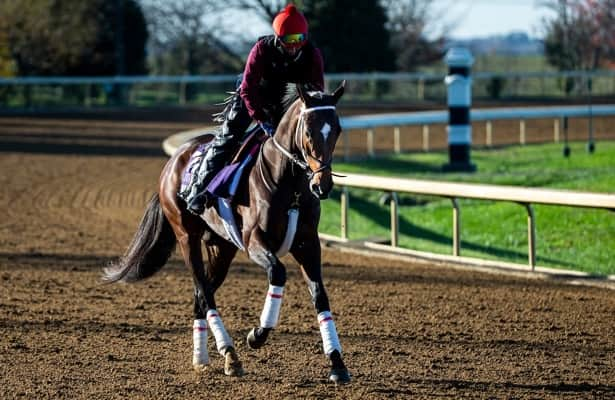 Best slots to play at oaklawn park