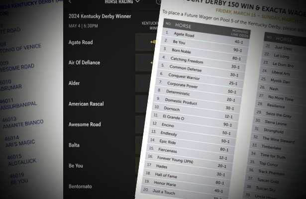 Vegas players may bet 'no' on 10 Kentucky Derby contenders